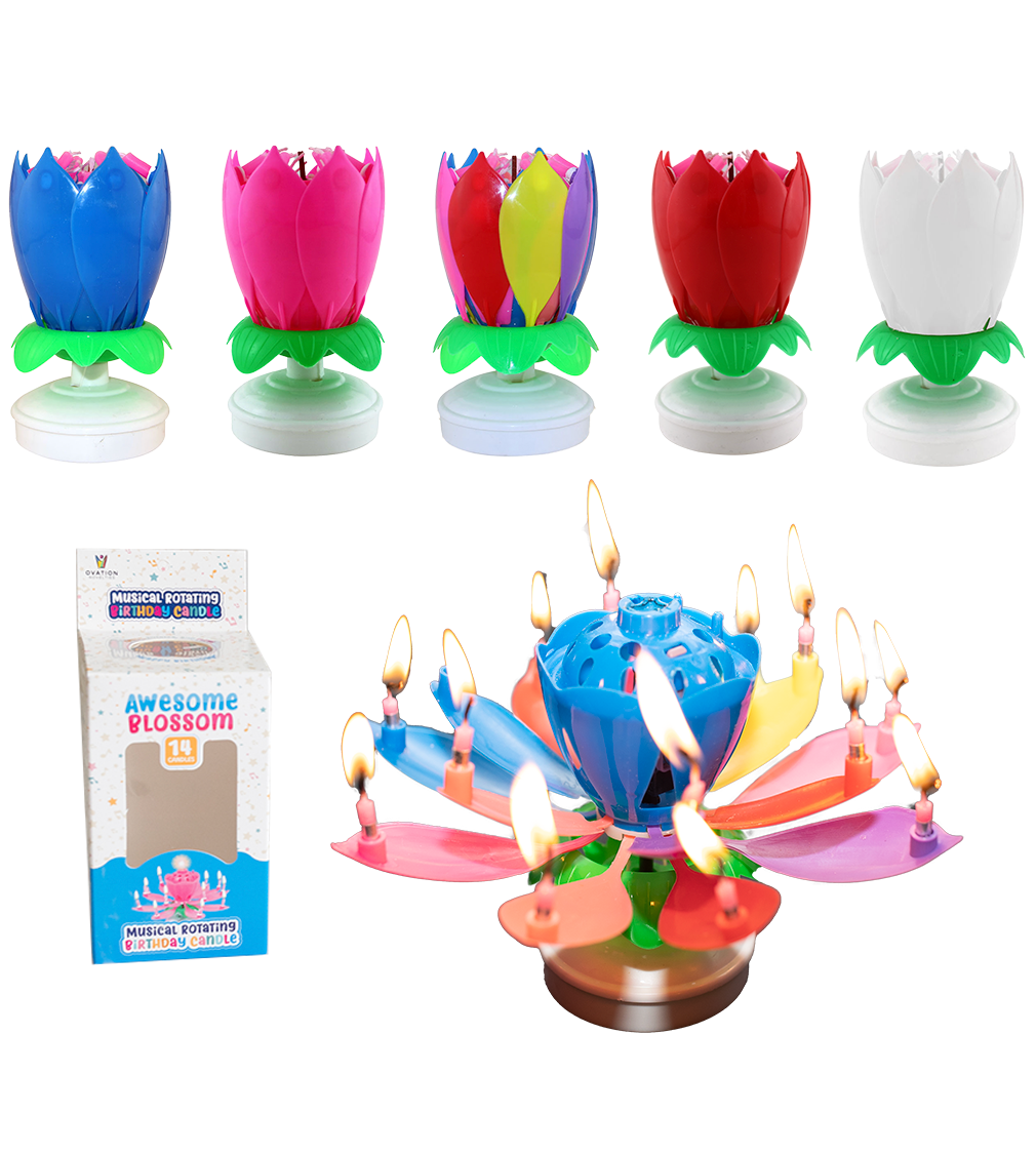 Awesome Blossom Wholesale